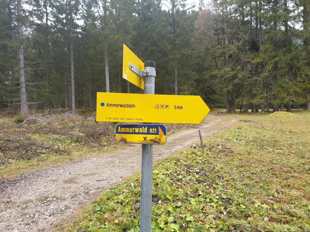 Ammerwald Alm