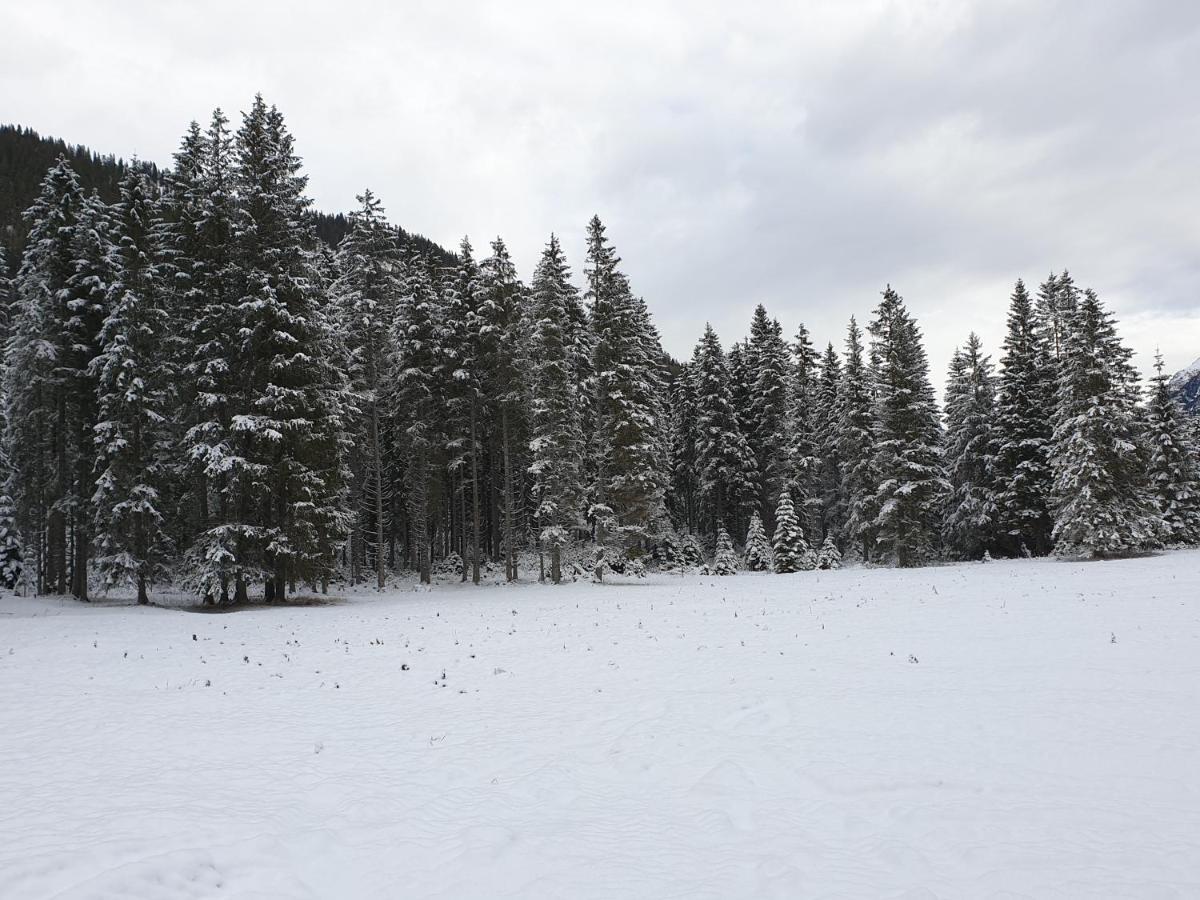 Ammerwald Alm * Plansee