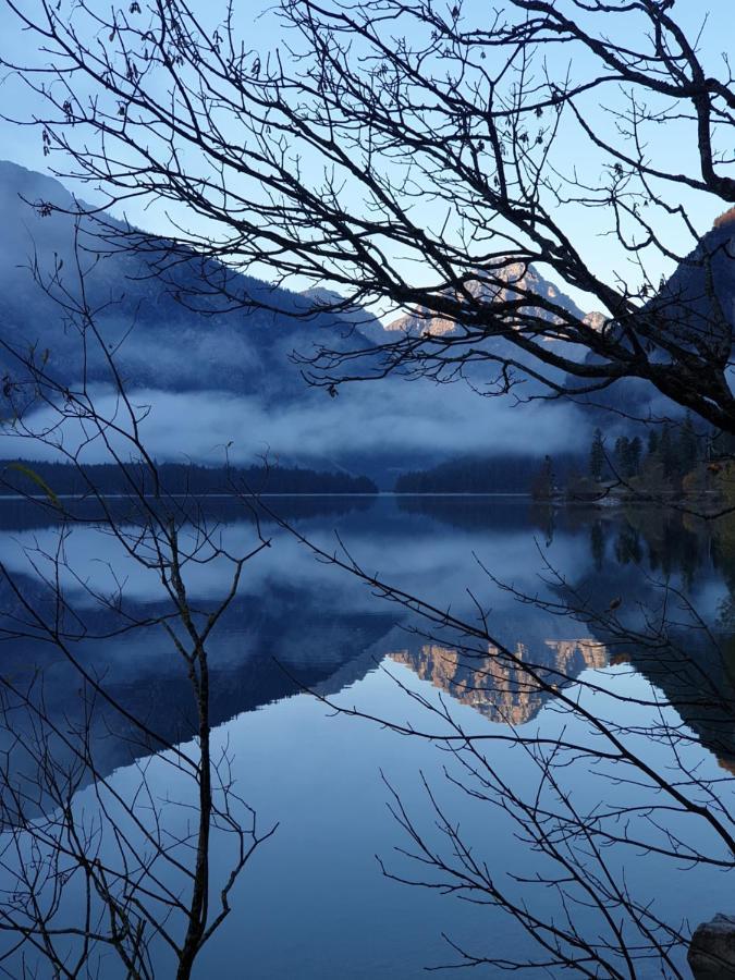 Ammerwald Alm * Plansee