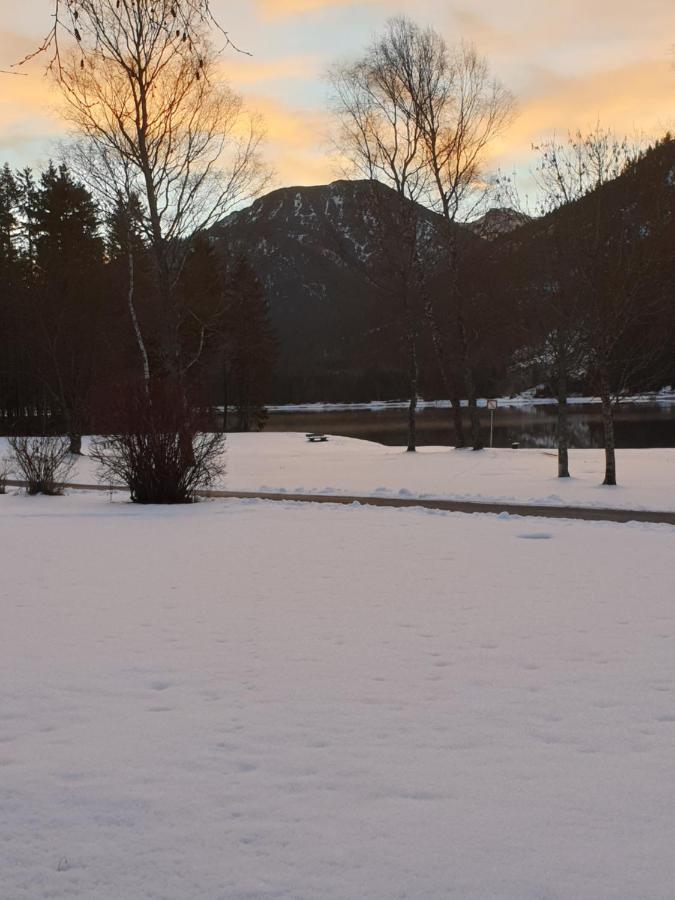 Inn Ammerwald Alm