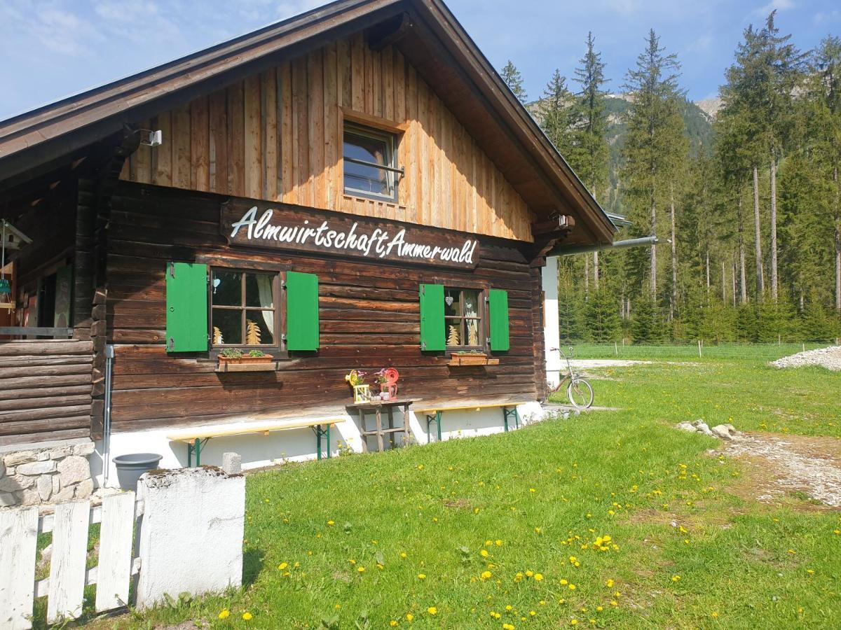 Ammerwald Alm Inn Plansee