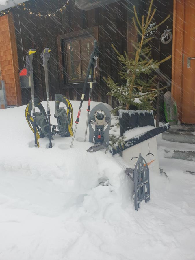 Ammerwald Alm Inn *