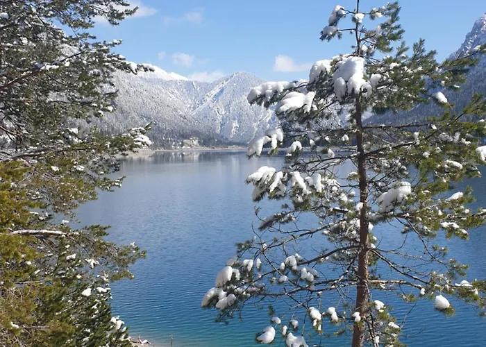 Ammerwald Alm