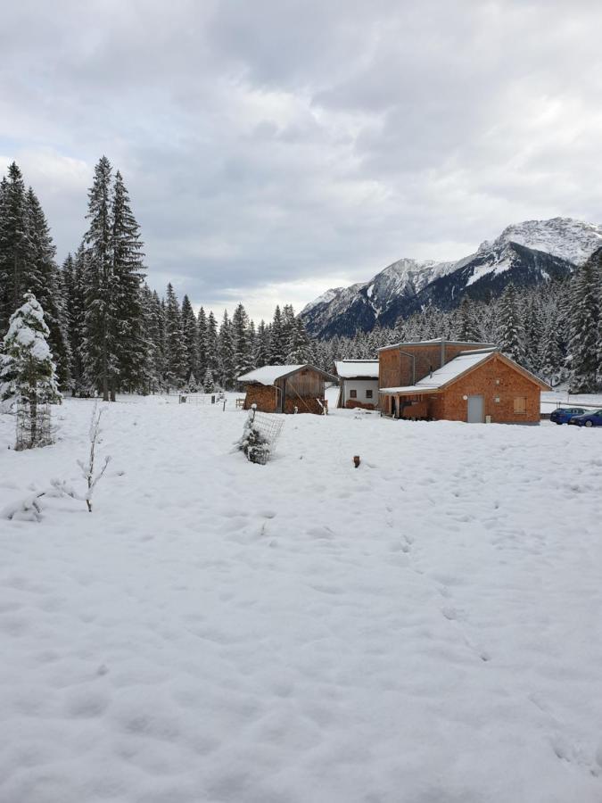 Herberg Ammerwald Alm