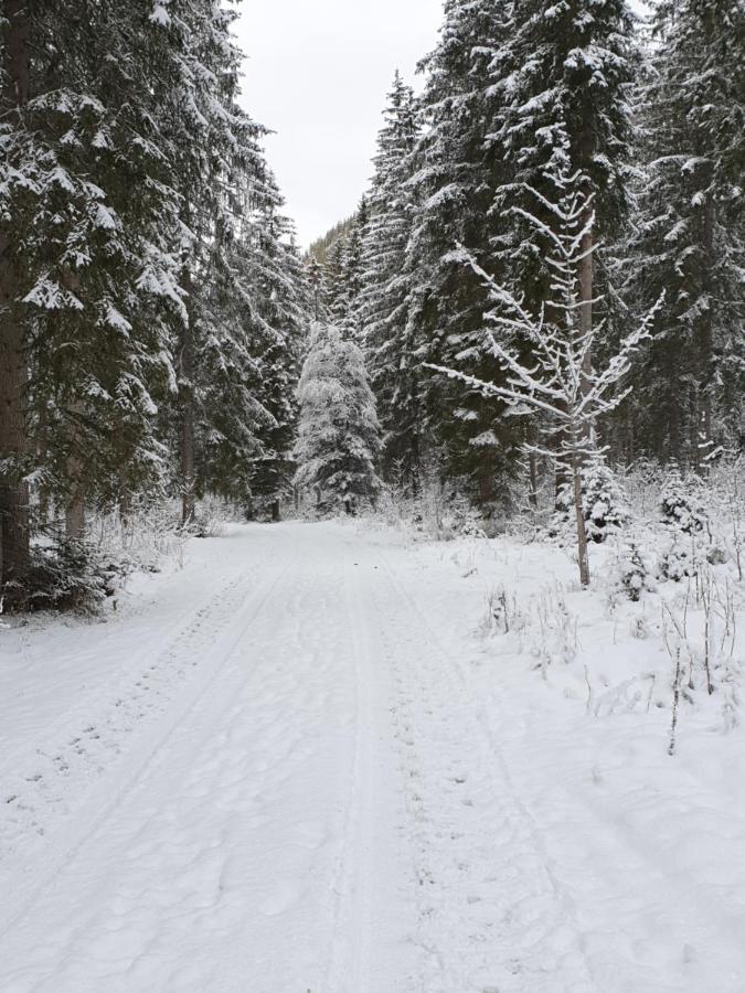 Ammerwald Alm Plansee
