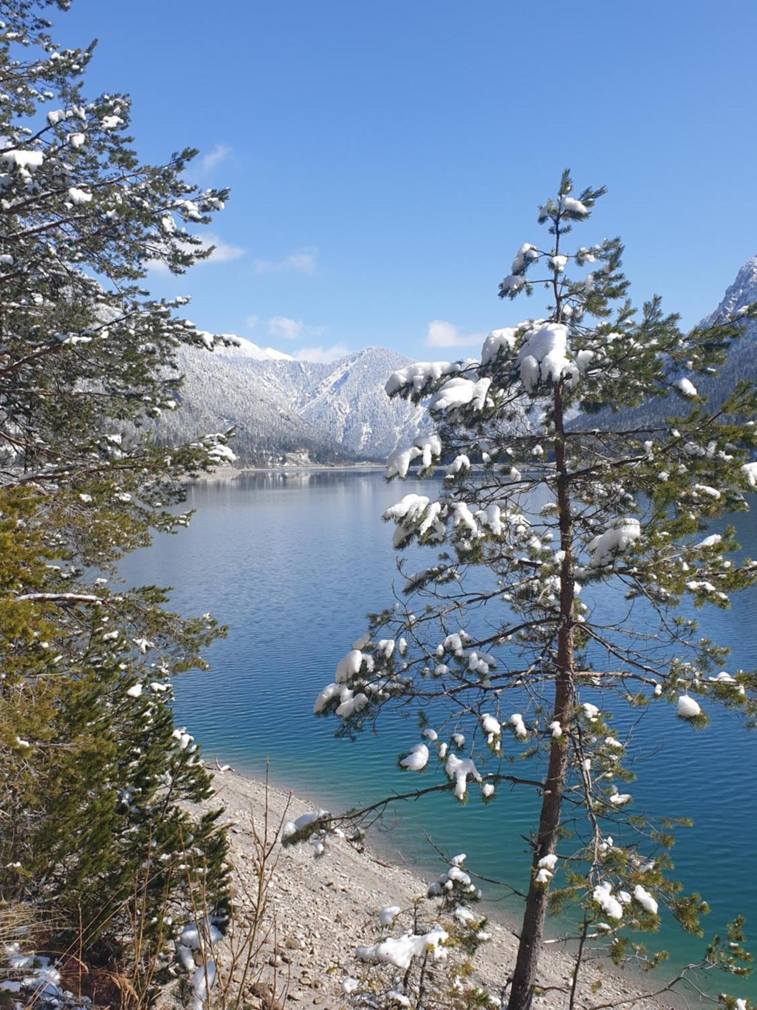 Herberg Ammerwald Alm Plansee